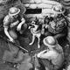 Imagen: Perro mensajero en las trincheras. Ap Images